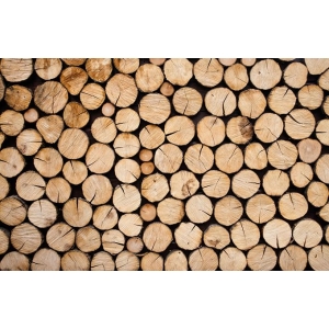 如(rú)何正确選擇木材幹燥設備？